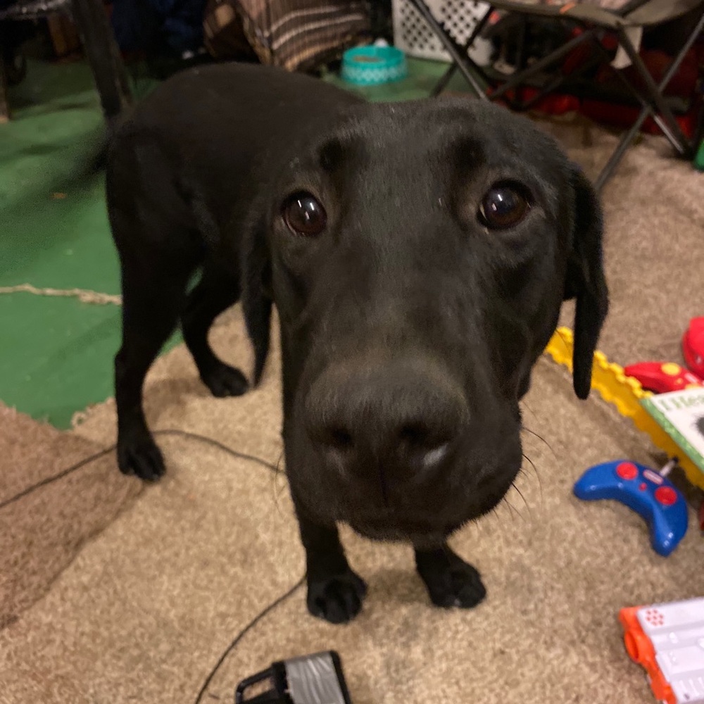 Meet your Posher, Summer